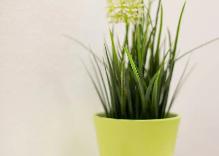 Apartment Krabbe Fehmarn